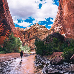 Man walking in stream while in a canyon.