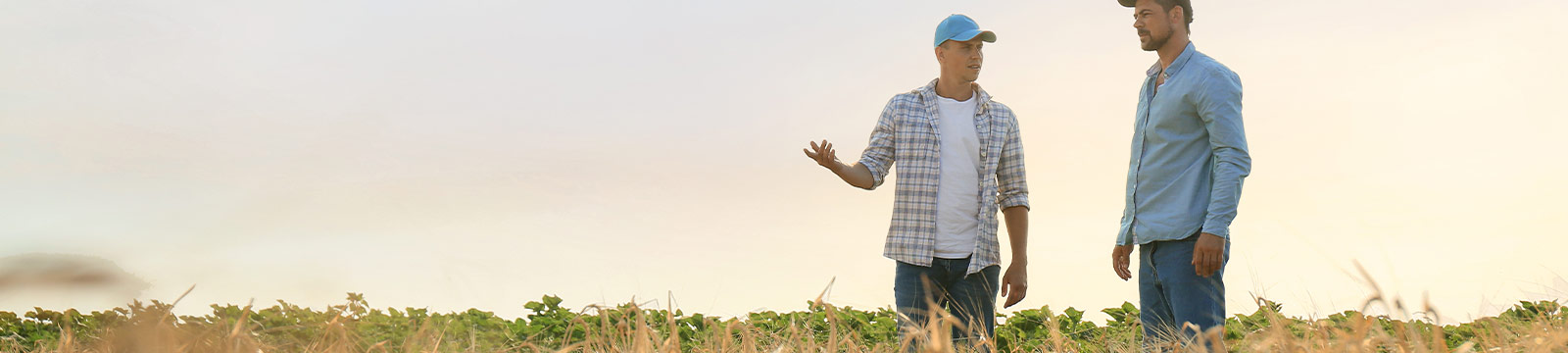 Two farmers talking.